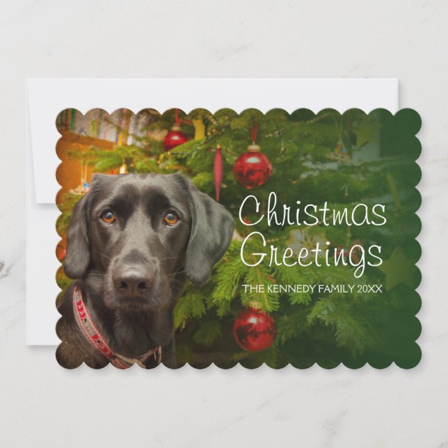 Tarjeta Festiva Labrador negro (Anverso)