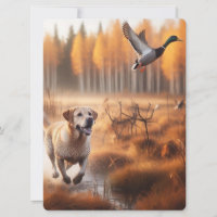Labrador/perro en la caza de pato en otoño
