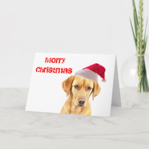 Tarjeta Festiva Labrador Puppy en una carta de Navidades