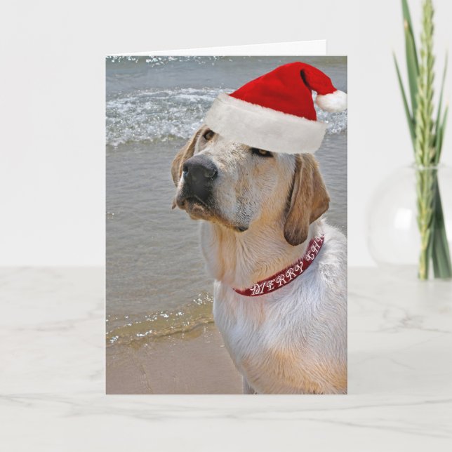 Tarjeta Festiva Labrador Recuperador en Navidades de playa (Anverso)