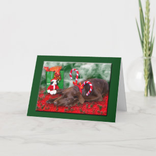 Tarjeta Festiva Labrador Retriever de Chocolate Durmiendo con Somb