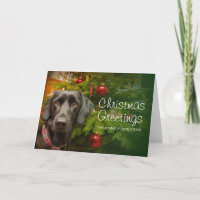Labrador retriever de sexo femenino negro
