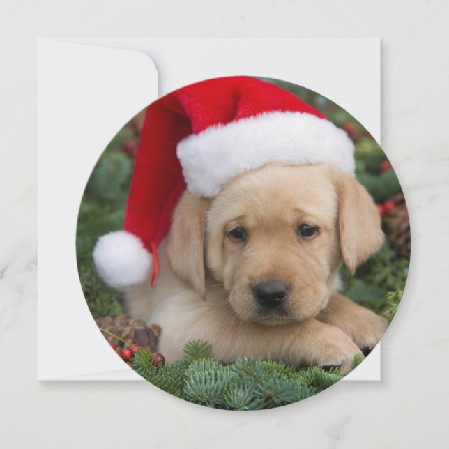 Tarjeta Festiva Labrador Retriever Puppy Con Santa Hat (Anverso)
