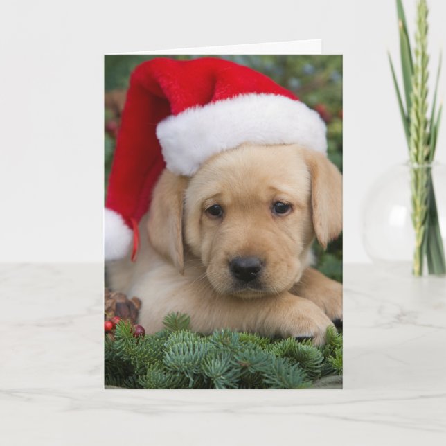 Tarjeta Festiva Labrador Retriever Puppy Con Santa Hat (Anverso)