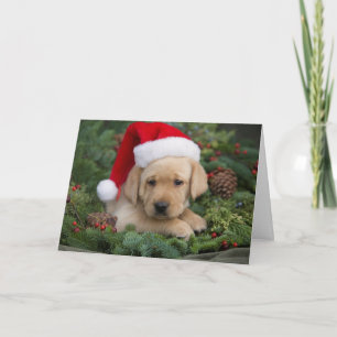 Tarjeta Festiva Labrador Retriever Puppy Con Santa Hat