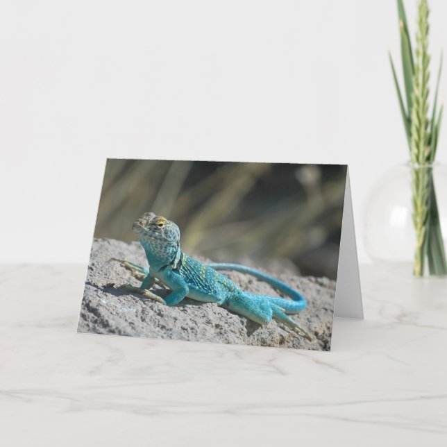 Tarjeta Festiva Lagarto agarrado del este (Anverso)