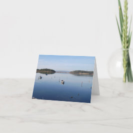 Tarjeta Festiva Lago eel, Gruissan