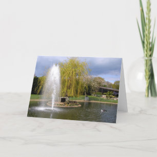 Tarjeta Festiva Laguna de pato en primavera