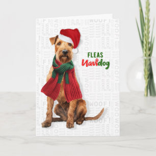 Tarjeta Festiva Lakeland Terrier Perro Divertidas Pulgas Navidog N