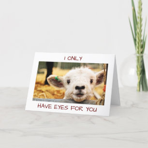 TARJETA FESTIVA LAMB DICE EN HALLOWEEN "¡SOLO TENGO OJOS POR TI!"