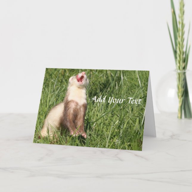 Tarjeta Festiva Las comadrejas son lindas. Ferrets de peluche\ (Anverso)