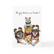 Las hermanas chiba inu Kikko Sasha Momo Hina