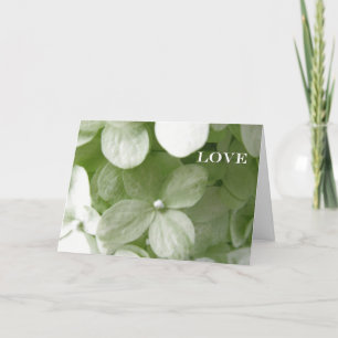 Tarjeta Festiva Las raíces del amor.