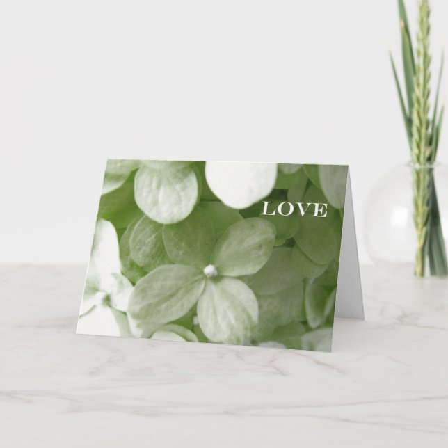 Tarjeta Festiva Las raíces del amor. (Anverso)
