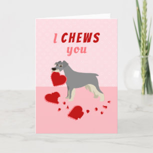Tarjeta Festiva Le doy la El día de San Valentín Schnauzer