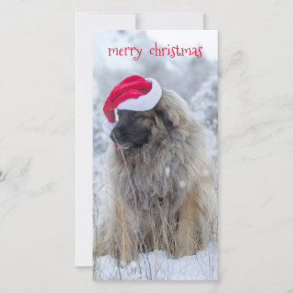 Tarjeta Festiva lengua hacia fuera Leonberger