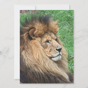 Tarjeta Festiva León 001