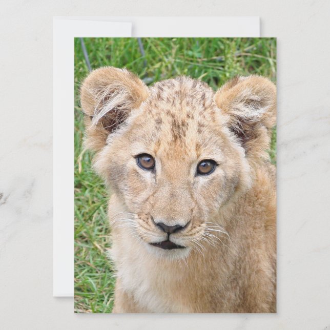 Tarjeta Festiva León 016 (Anverso)