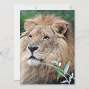 Tarjeta Festiva León 021