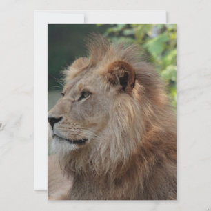 Tarjeta Festiva León 035