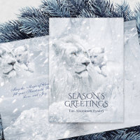 León blanco y cachorro de nieve, Navidades mágicos