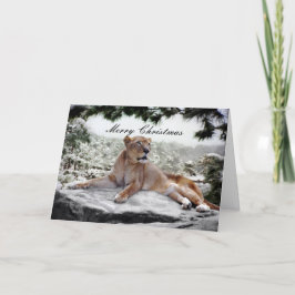 Tarjeta Festiva León en los Navidades