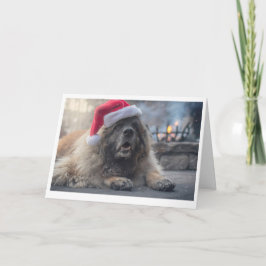 Tarjeta Festiva Leonberger Santa