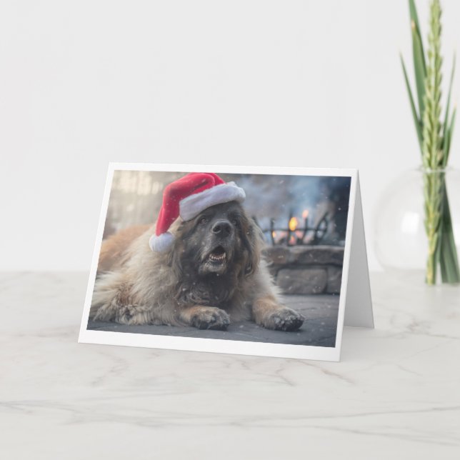 Tarjeta Festiva Leonberger Santa (Anverso)