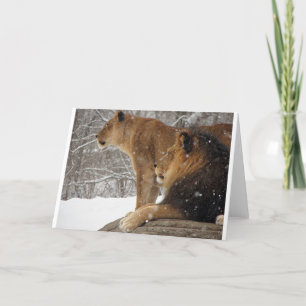 Tarjeta Festiva Leones