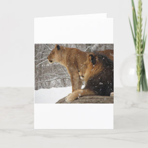 Tarjeta Festiva Leones