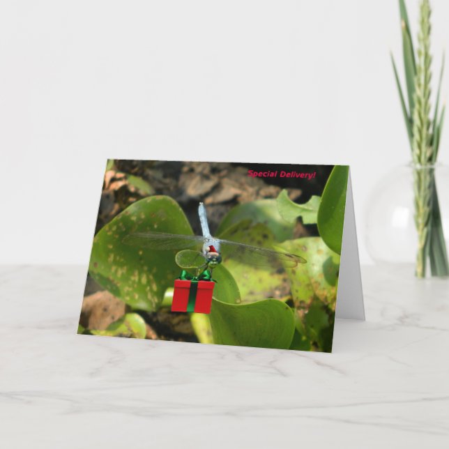 Tarjeta Festiva Libélula Santa (Anverso)