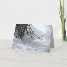 Tarjeta Festiva Liebre de nieve bajo arbusto en la nieve