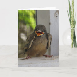 Tarjeta Festiva Lil Birdie, pájaro sonriente feliz