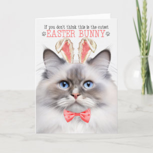 Tarjeta Festiva Lilac Point Ragdoll Cutest Easter Bunny Kitty Puns