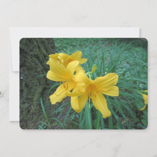 Tarjeta Festiva Lilies amarillos (Anverso)