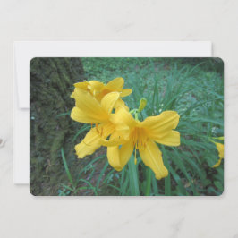 Tarjeta Festiva Lilies amarillos