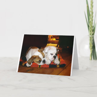 Tarjeta Festiva Lily y Ziggy Holiday Pose