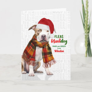 Tarjeta Festiva Lindo perro Pit Bull divertidas pulgas Navidog con
