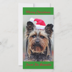 TARJETA FESTIVA LINDO YORKIE CON GORRO DE SANTA PLANO