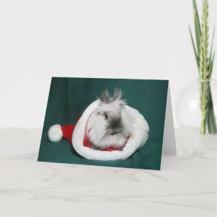 Tarjeta Festiva Lionhead Bunny Santa