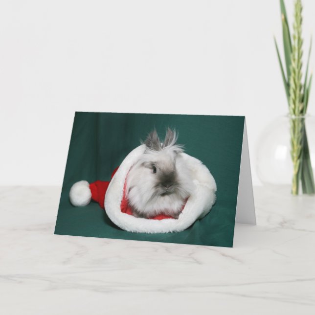 Tarjeta Festiva Lionhead Bunny Santa (Anverso)