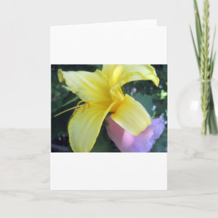 Tarjeta Festiva Lirio amarillo