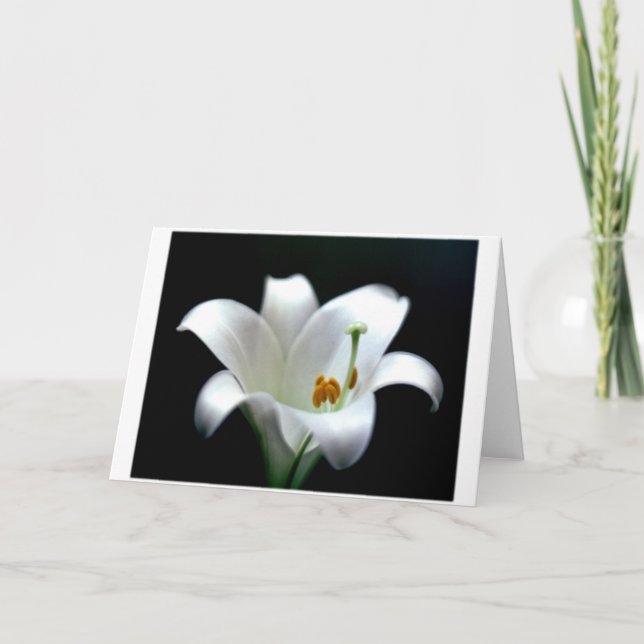 Tarjeta Festiva Lirio de pascua (Anverso)