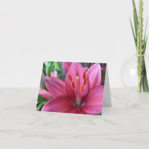 Tarjeta Festiva Lirio rosa Stargazer en el jardín