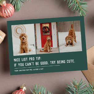 Tarjeta Festiva Lista agradable mascota divertida tres fotos verde