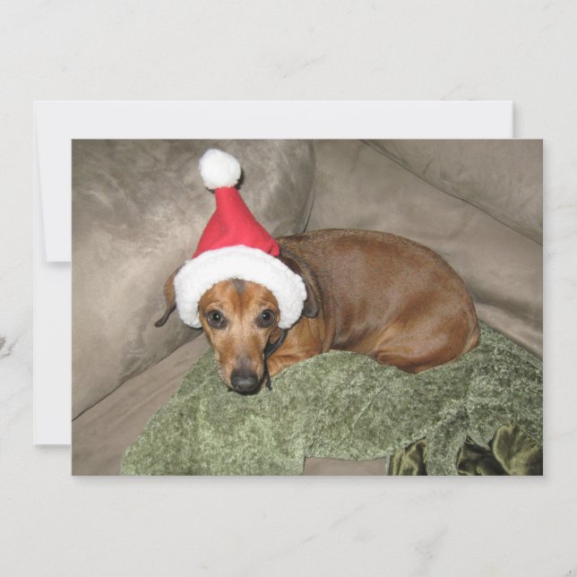 Tarjeta Festiva Lista traviesa - Renuente Santa Dachshund (Anverso)