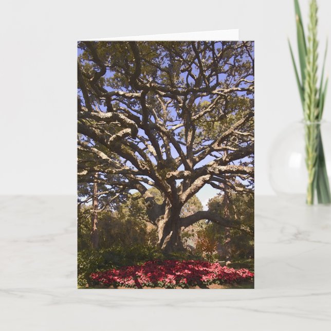 Tarjeta Festiva Live Oak y Poinsettias (Anverso)