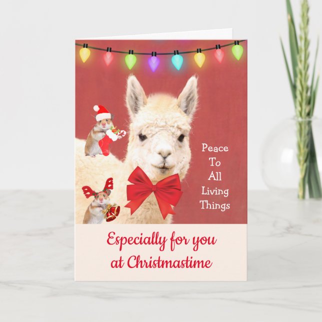 Tarjeta Festiva Llama A La Paz De Christmastime Para Todos (Anverso)