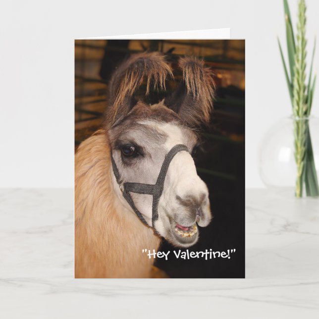Tarjeta Festiva Llama Llove Valentine's Day Card (Anverso)