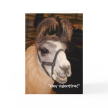 Llama Llove Valentine's Day Card